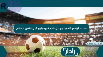 سبب تراجع فلامينجو عن ضم فيرمينيو قبل كأس العالم